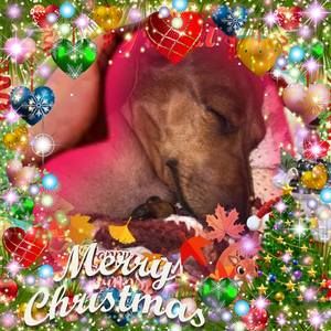 Meet your Posher, Terri